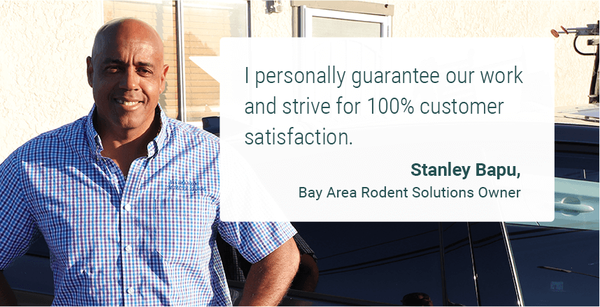 Stanley Bapu, Owner of the best rodent control company in the bay area: Bay Area Rodent Solutions